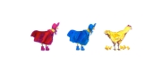 Chickens